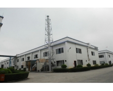 廣東花王涂料有機廢氣治理